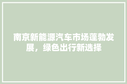 南京新能源汽车市场蓬勃发展，绿色出行新选择