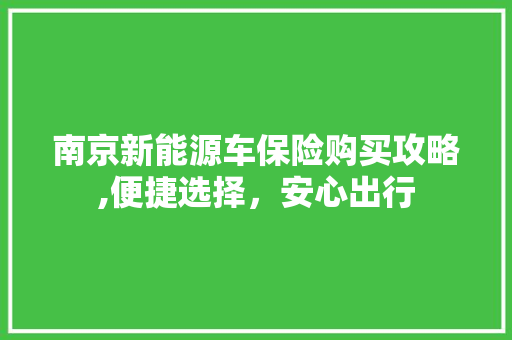 南京新能源车保险购买攻略,便捷选择，安心出行