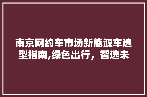 南京网约车市场新能源车选型指南,绿色出行，智选未来