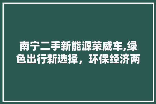 南宁二手新能源荣威车,绿色出行新选择，环保经济两不误