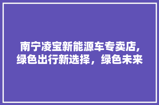 南宁凌宝新能源车专卖店,绿色出行新选择，绿色未来触手可及