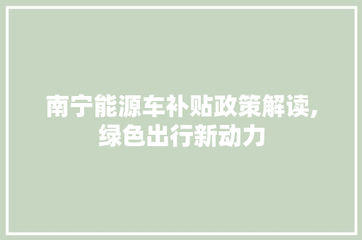 南宁能源车补贴政策解读,绿色出行新动力