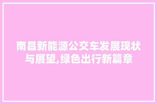 南昌新能源公交车发展现状与展望,绿色出行新篇章