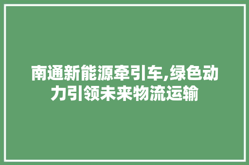 南通新能源牵引车,绿色动力引领未来物流运输