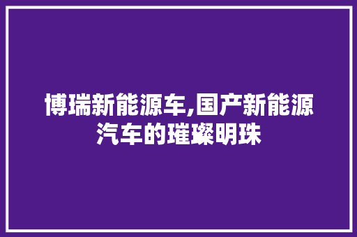 博瑞新能源车,国产新能源汽车的璀璨明珠 汽车配件
