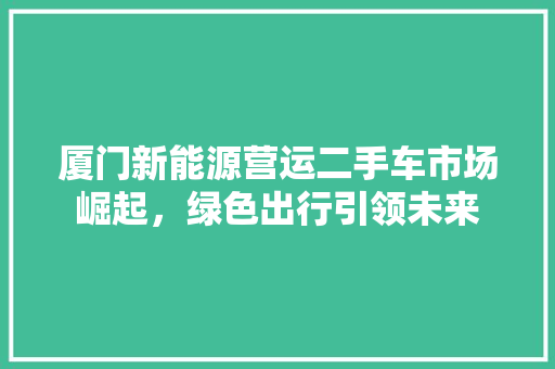 厦门新能源营运二手车市场崛起，绿色出行引领未来