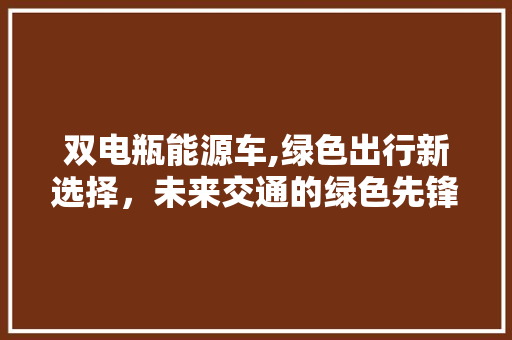 双电瓶能源车,绿色出行新选择，未来交通的绿色先锋
