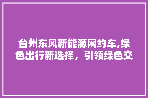 台州东风新能源网约车,绿色出行新选择，引领绿色交通新潮流