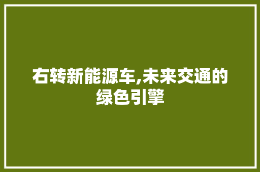 右转新能源车,未来交通的绿色引擎