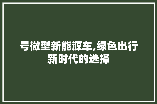 号微型新能源车,绿色出行新时代的选择