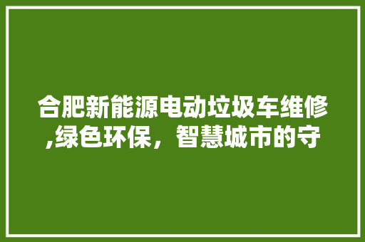 合肥新能源电动垃圾车维修,绿色环保，智慧城市的守护者