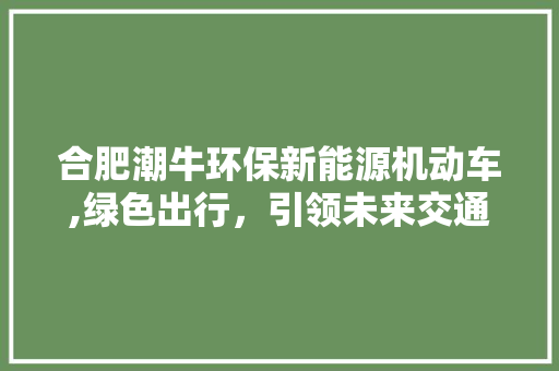 合肥潮牛环保新能源机动车,绿色出行，引领未来交通新风尚