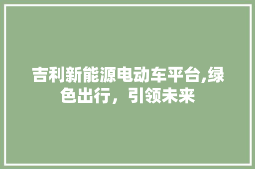 吉利新能源电动车平台,绿色出行，引领未来