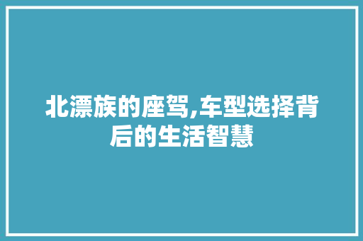 北漂族的座驾,车型选择背后的生活智慧