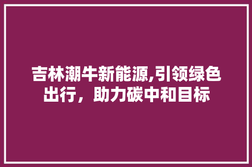 吉林潮牛新能源,引领绿色出行，助力碳中和目标