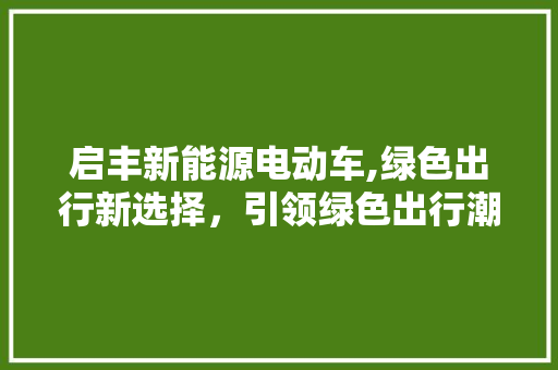 启丰新能源电动车,绿色出行新选择，引领绿色出行潮流