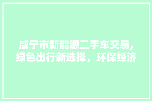 咸宁市新能源二手车交易,绿色出行新选择，环保经济双赢