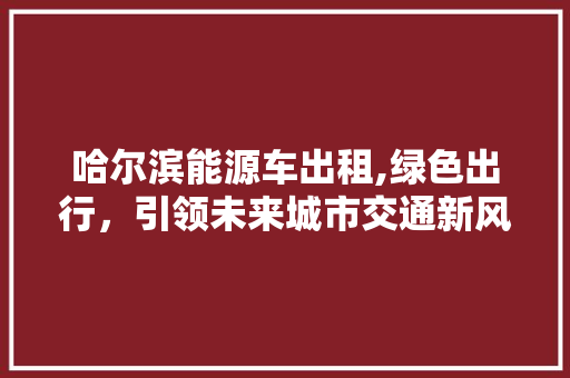 哈尔滨能源车出租,绿色出行，引领未来城市交通新风尚
