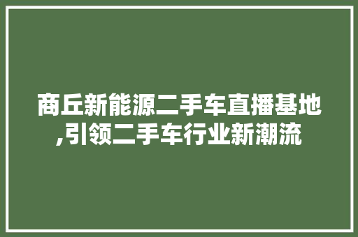 商丘新能源二手车直播基地,引领二手车行业新潮流 蓄电池配件