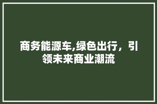 商务能源车,绿色出行，引领未来商业潮流