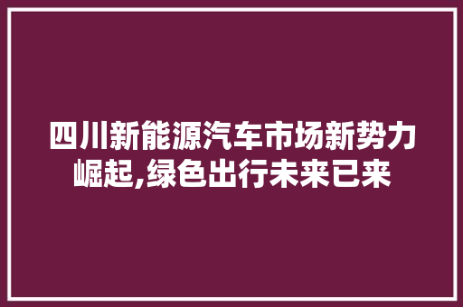 四川新能源汽车市场新势力崛起,绿色出行未来已来