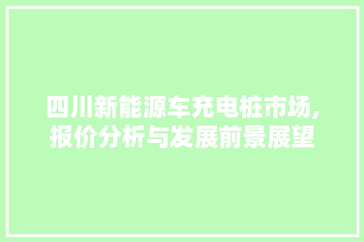 四川新能源车充电桩市场,报价分析与发展前景展望 车身配件