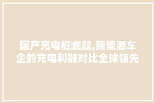 国产充电桩崛起,新能源车企的充电利器对比全球领先者