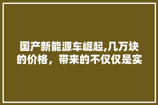 国产新能源车崛起,几万块的价格，带来的不仅仅是实惠