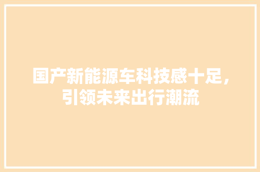 国产新能源车科技感十足，引领未来出行潮流