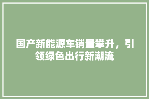 国产新能源车销量攀升，引领绿色出行新潮流