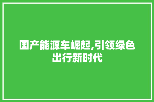 国产能源车崛起,引领绿色出行新时代
