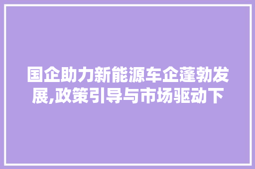 国企助力新能源车企蓬勃发展,政策引导与市场驱动下的双重效应 底盘配件