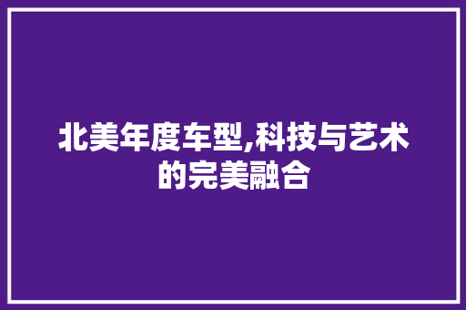 北美年度车型,科技与艺术的完美融合