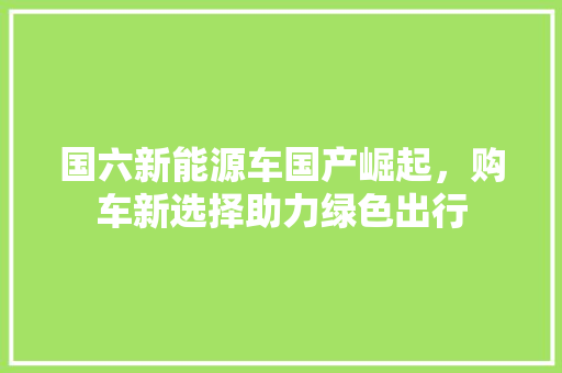 国六新能源车国产崛起，购车新选择助力绿色出行