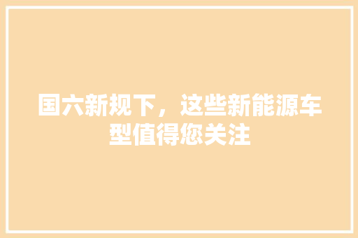 国六新规下，这些新能源车型值得您关注