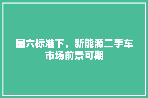 国六标准下，新能源二手车市场前景可期