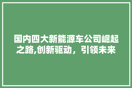国内四大新能源车公司崛起之路,创新驱动，引领未来