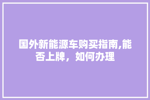 国外新能源车购买指南,能否上牌，如何办理