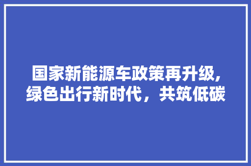 国家新能源车政策再升级,绿色出行新时代，共筑低碳未来