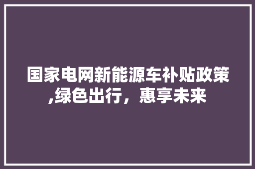 国家电网新能源车补贴政策,绿色出行，惠享未来