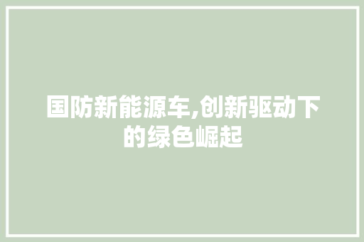 国防新能源车,创新驱动下的绿色崛起 蓄电池配件