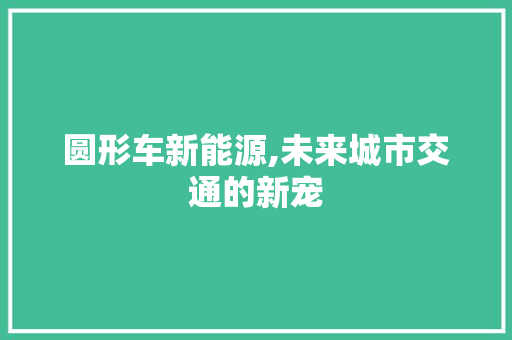 圆形车新能源,未来城市交通的新宠