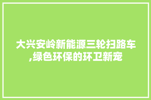 大兴安岭新能源三轮扫路车,绿色环保的环卫新宠