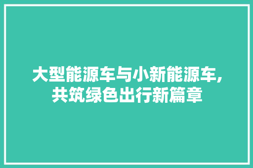 大型能源车与小新能源车,共筑绿色出行新篇章