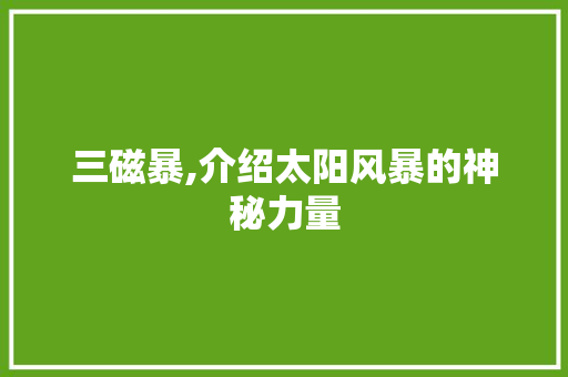 三磁暴,介绍太阳风暴的神秘力量 汽车配件