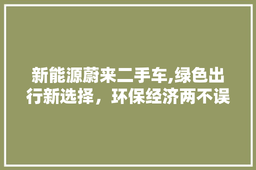 新能源蔚来二手车,绿色出行新选择，环保经济两不误