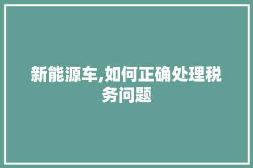 新能源车,如何正确处理税务问题