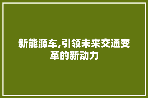 新能源车,引领未来交通变革的新动力