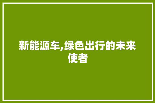 新能源车,绿色出行的未来使者