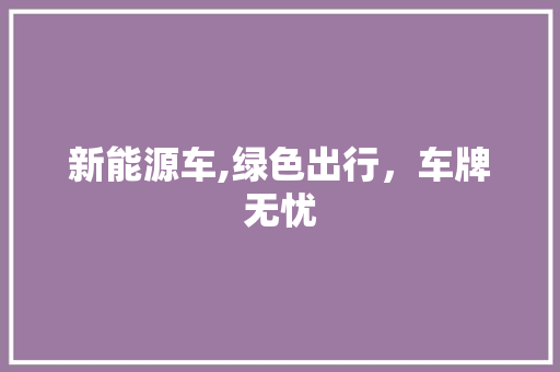 新能源车,绿色出行，车牌无忧